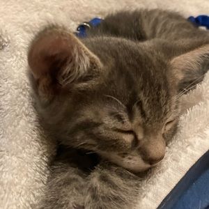 Meet your Posher, Avery